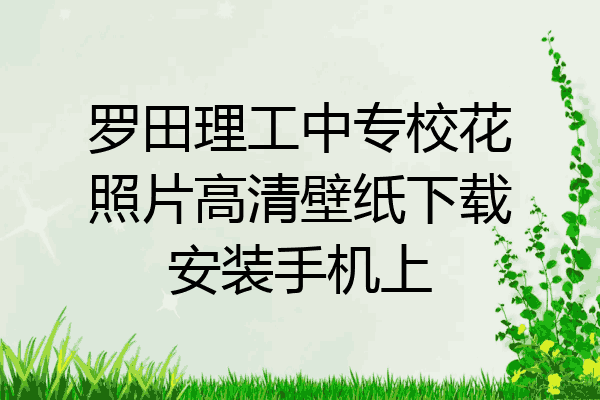 罗田理工中专校花照片高清壁纸下载安装手机上