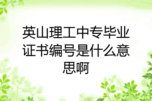 英山理工中专毕业证书编号是什么意思啊