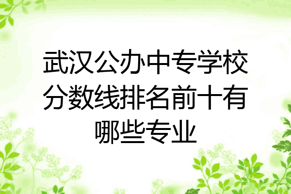 武汉公办中专学校分数线排名前十有哪些专业