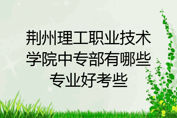 荆州理工职业技术学院中专部有哪些专业好考些