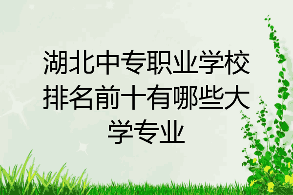 湖北中专职业学校排名前十有哪些大学专业