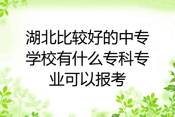 湖北比较好的中专学校有什么专科专业可以报考