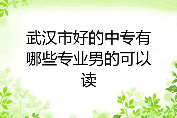 武汉市好的中专有哪些专业男的可以读