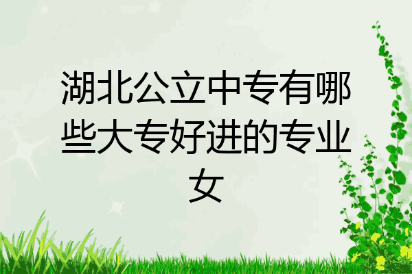 湖北公立中专有哪些大专好进的专业女