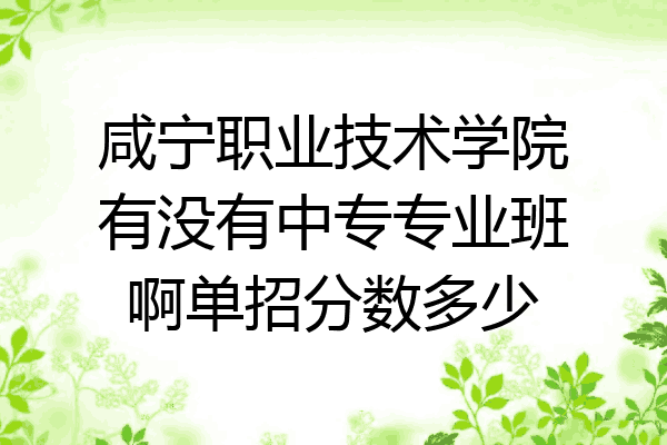 咸宁职业技术学院有没有中专专业班啊单招分数多少