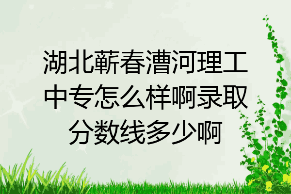 湖北蕲春漕河理工中专怎么样啊录取分数线多少啊