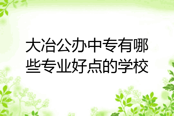 大冶公办中专有哪些专业好点的学校