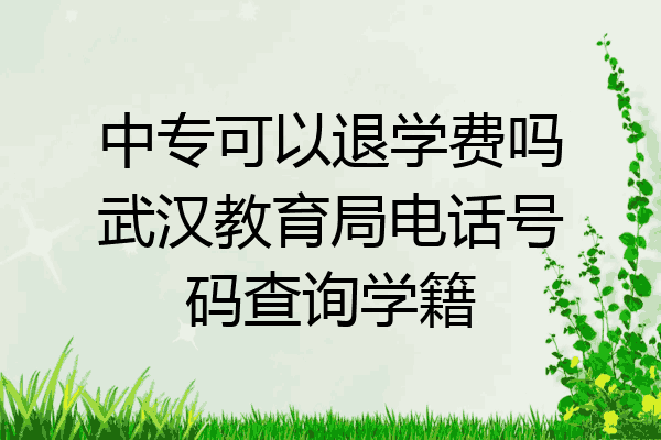 中专可以退学费吗武汉教育局电话号码查询学籍