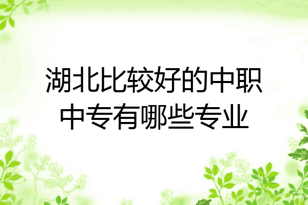 湖北比较好的中职中专有哪些专业