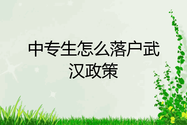 中专生怎么落户武汉政策