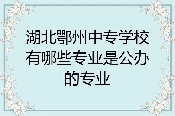 湖北鄂州中专学校有哪些专业是公办的专业