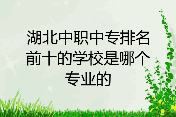 湖北中职中专排名前十的学校是哪个专业的