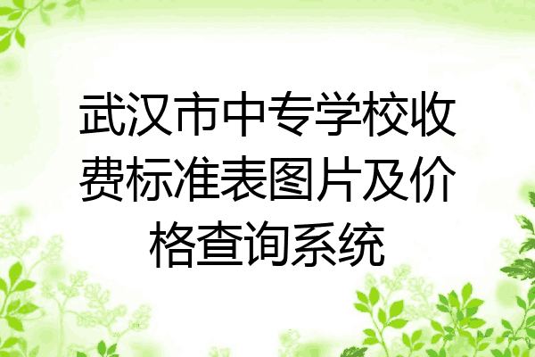 武汉市中专学校收费标准表图片及价格查询系统