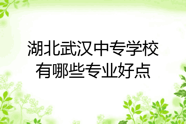 湖北武汉中专学校有哪些专业好点