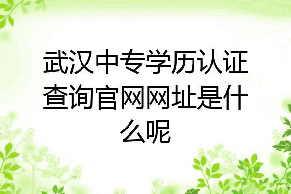 武汉中专学历认证查询官网网址是什么呢