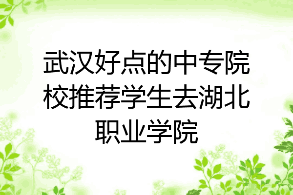 武汉好点的中专院校推荐学生去湖北职业学院