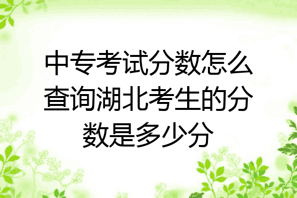 中专考试分数怎么查询湖北考生的分数是多少分