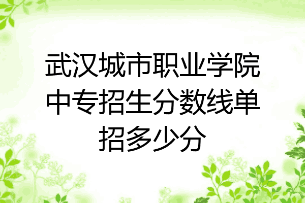 武汉城市职业学院中专招生分数线单招多少分