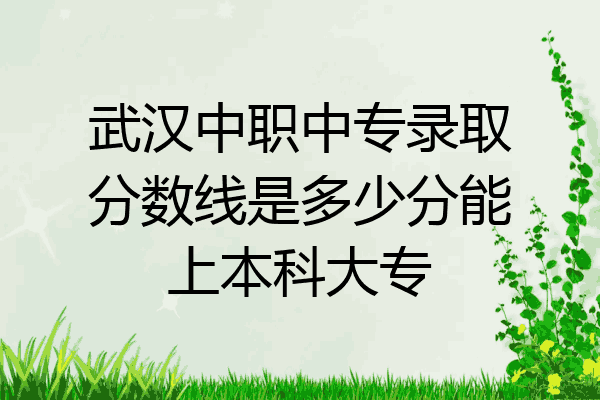 武汉中职中专录取分数线是多少分能上本科大专