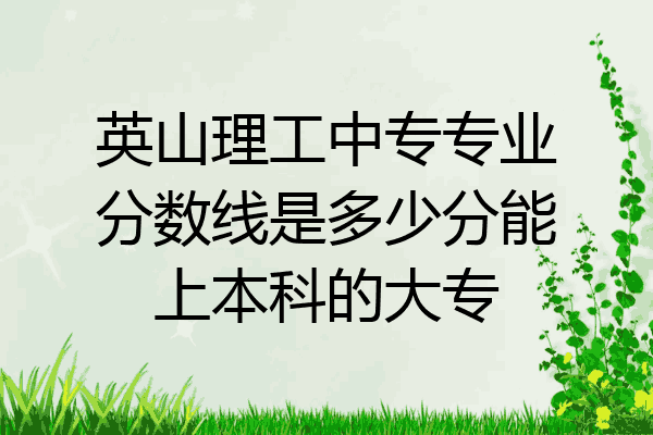 英山理工中专专业分数线是多少分能上本科的大专