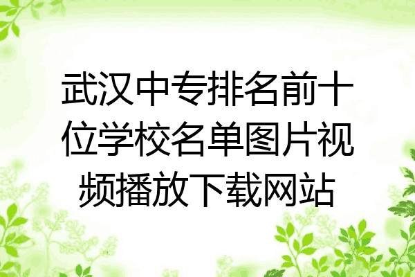 武汉中专排名前十位学校名单图片视频播放下载网站