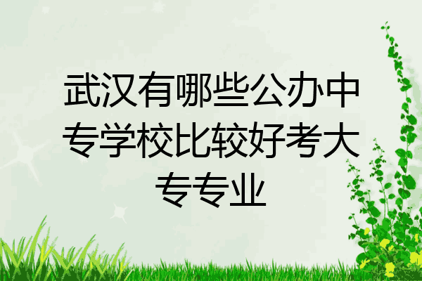 武汉有哪些公办中专学校比较好考大专专业
