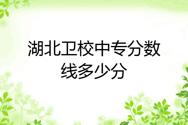 湖北卫校中专分数线多少分