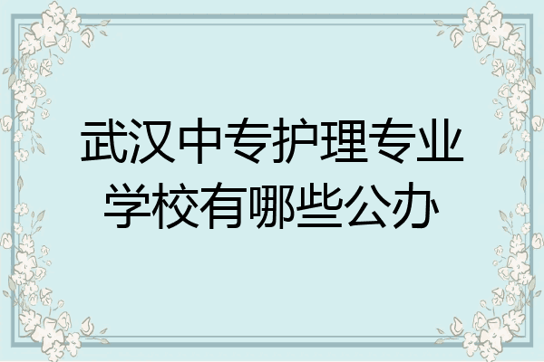 武汉中专护理专业学校有哪些公办