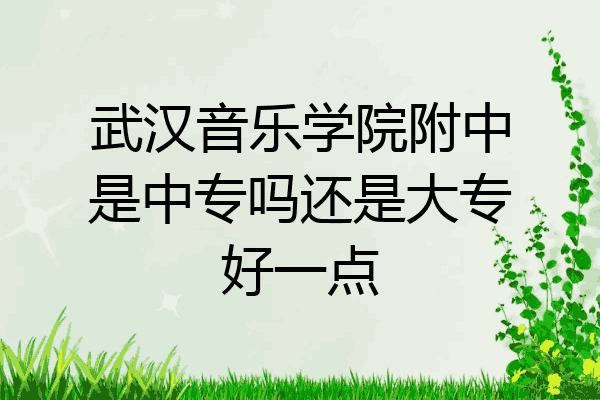 武汉音乐学院附中是中专吗还是大专好一点