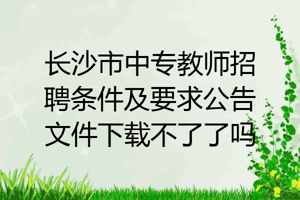 长沙市中专教师招聘条件及要求公告文件下载不了了吗