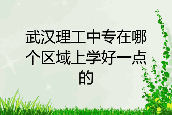 武汉理工中专在哪个区域上学好一点的