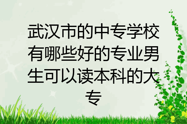 武汉市的中专学校有哪些好的专业男生可以读本科的大专