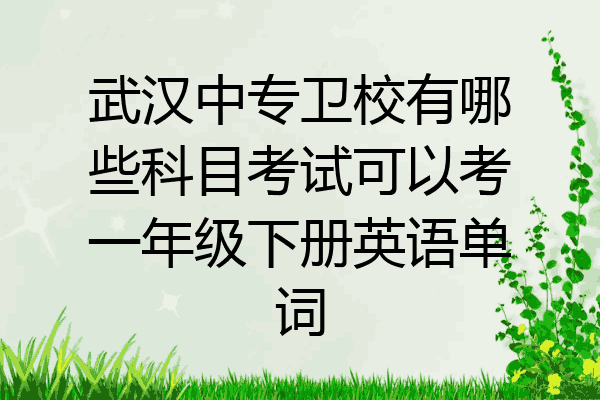 武汉中专卫校有哪些科目考试可以考一年级下册英语单词
