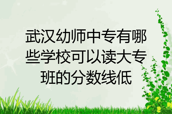 武汉幼师中专有哪些学校可以读大专班的分数线低
