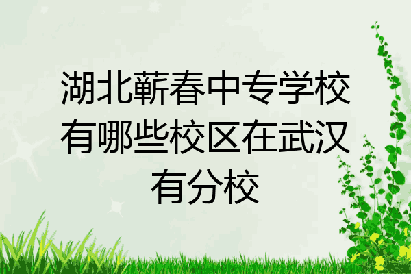 湖北蕲春中专学校有哪些校区在武汉有分校