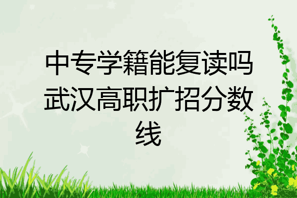 中专学籍能复读吗武汉高职扩招分数线