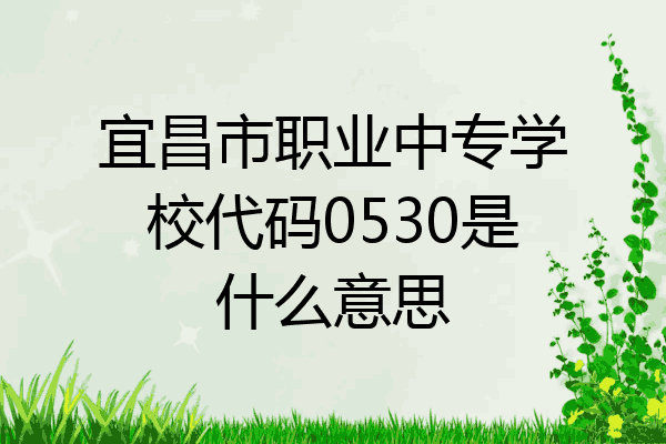 宜昌市职业中专学校代码0530是什么意思