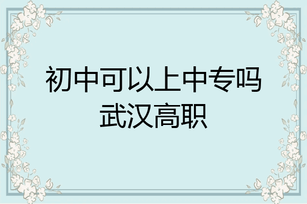 初中可以上中专吗武汉高职