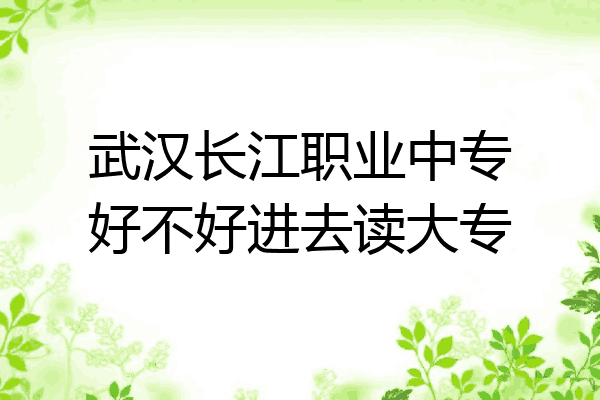 武汉长江职业中专好不好进去读大专