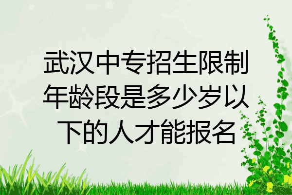 武汉中专招生限制年龄段是多少岁以下的人才能报名