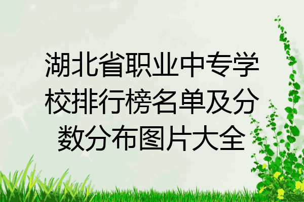 湖北省职业中专学校排行榜名单及分数分布图片大全