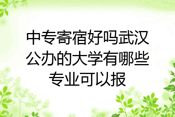 中专寄宿好吗武汉公办的大学有哪些专业可以报