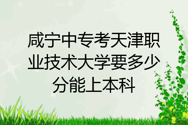 咸宁中专考天津职业技术大学要多少分能上本科