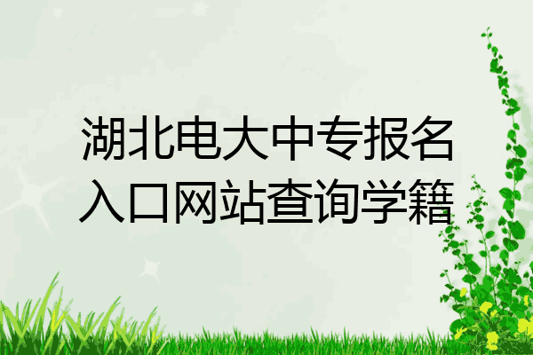 湖北电大中专报名入口网站查询学籍