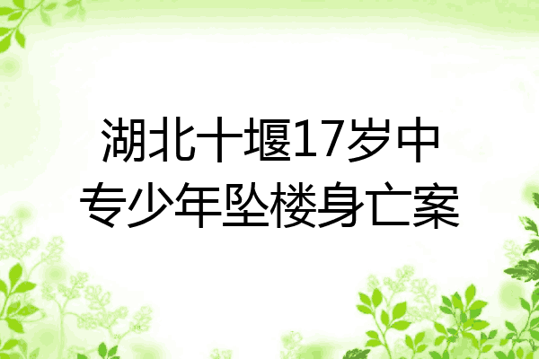 湖北十堰17岁中专少年坠楼身亡案