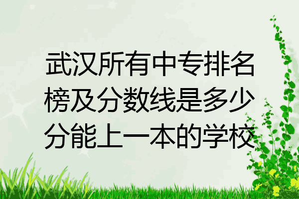 武汉所有中专排名榜及分数线是多少分能上一本的学校