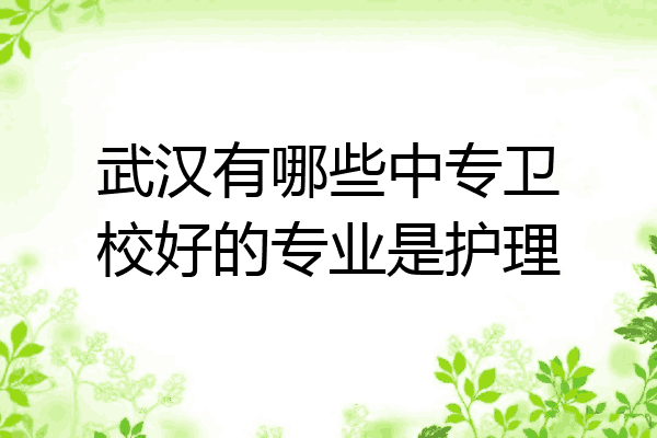 武汉有哪些中专卫校好的专业是护理