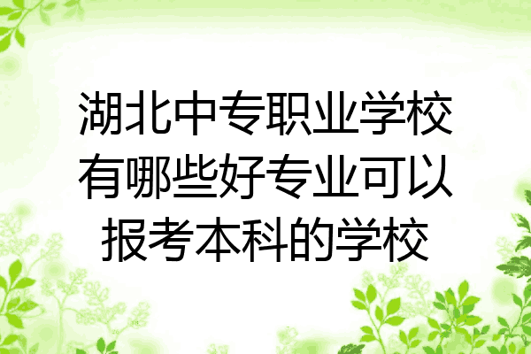 湖北中专职业学校有哪些好专业可以报考本科的学校