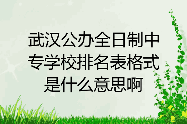 武汉公办全日制中专学校排名表格式是什么意思啊