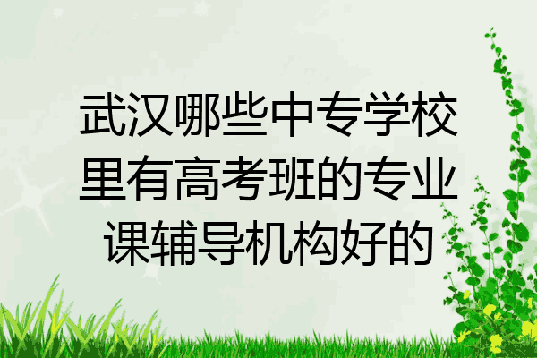 武汉哪些中专学校里有高考班的专业课辅导机构好的